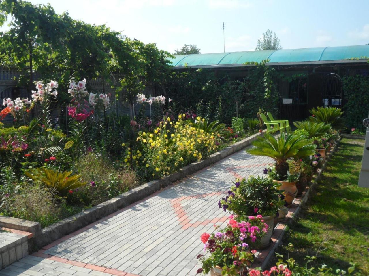 Galina Guest House Alakhadze Bagian luar foto